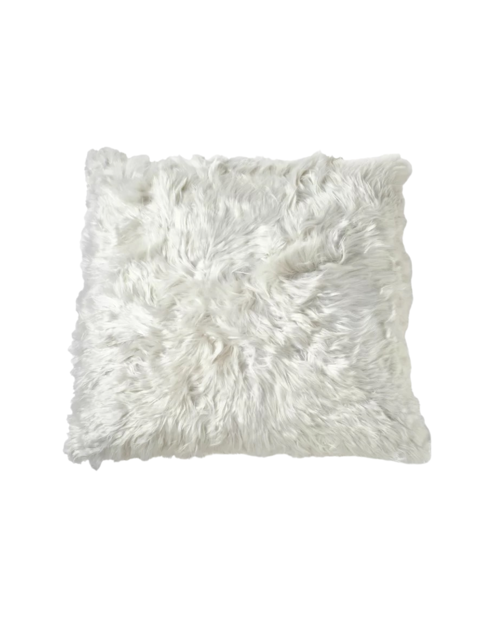 Square Throw Pillow Pillow Cover & Insert